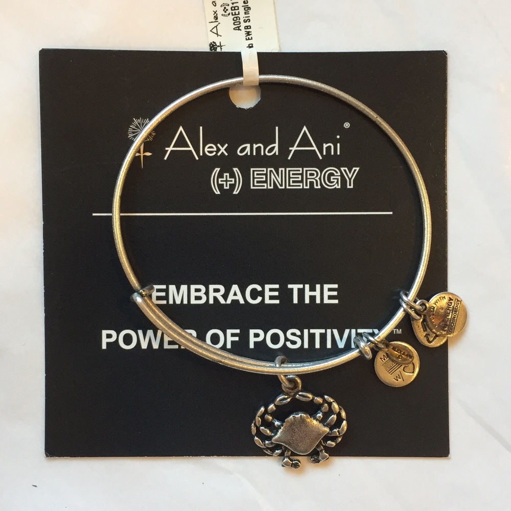 Alex and Ani Bracelet